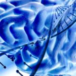 neural tube defects treatment in Indore