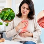 Hiatal Hernia Treatment in Indore